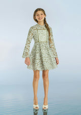 Primrose Embroidery Mini Dress