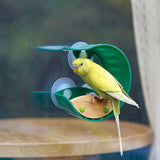 Nature Fun - Window Feeder