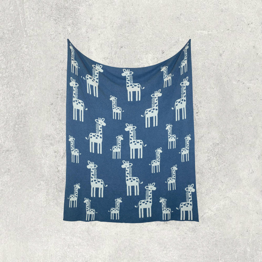 Reversible Baby Blanket Set