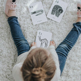 Alphabet Adventure Bundle