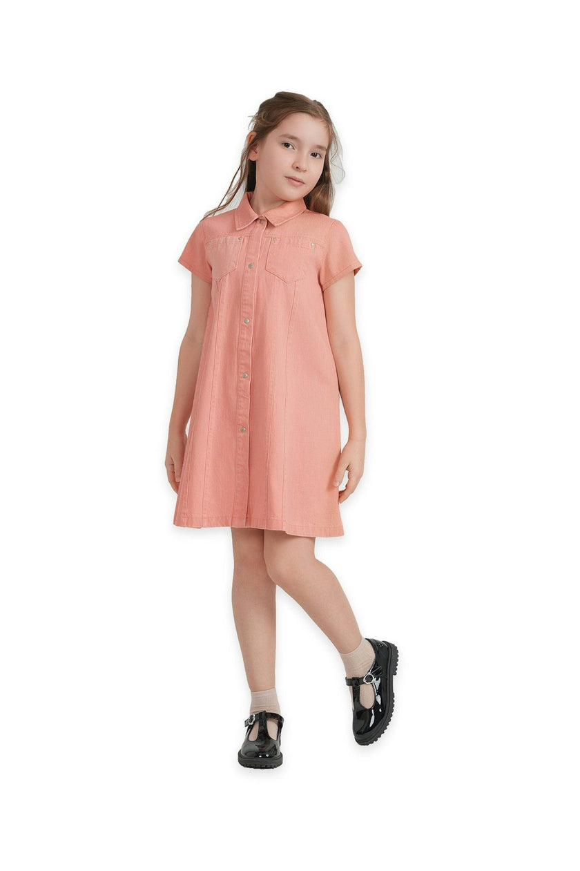 Colored Denim Dress