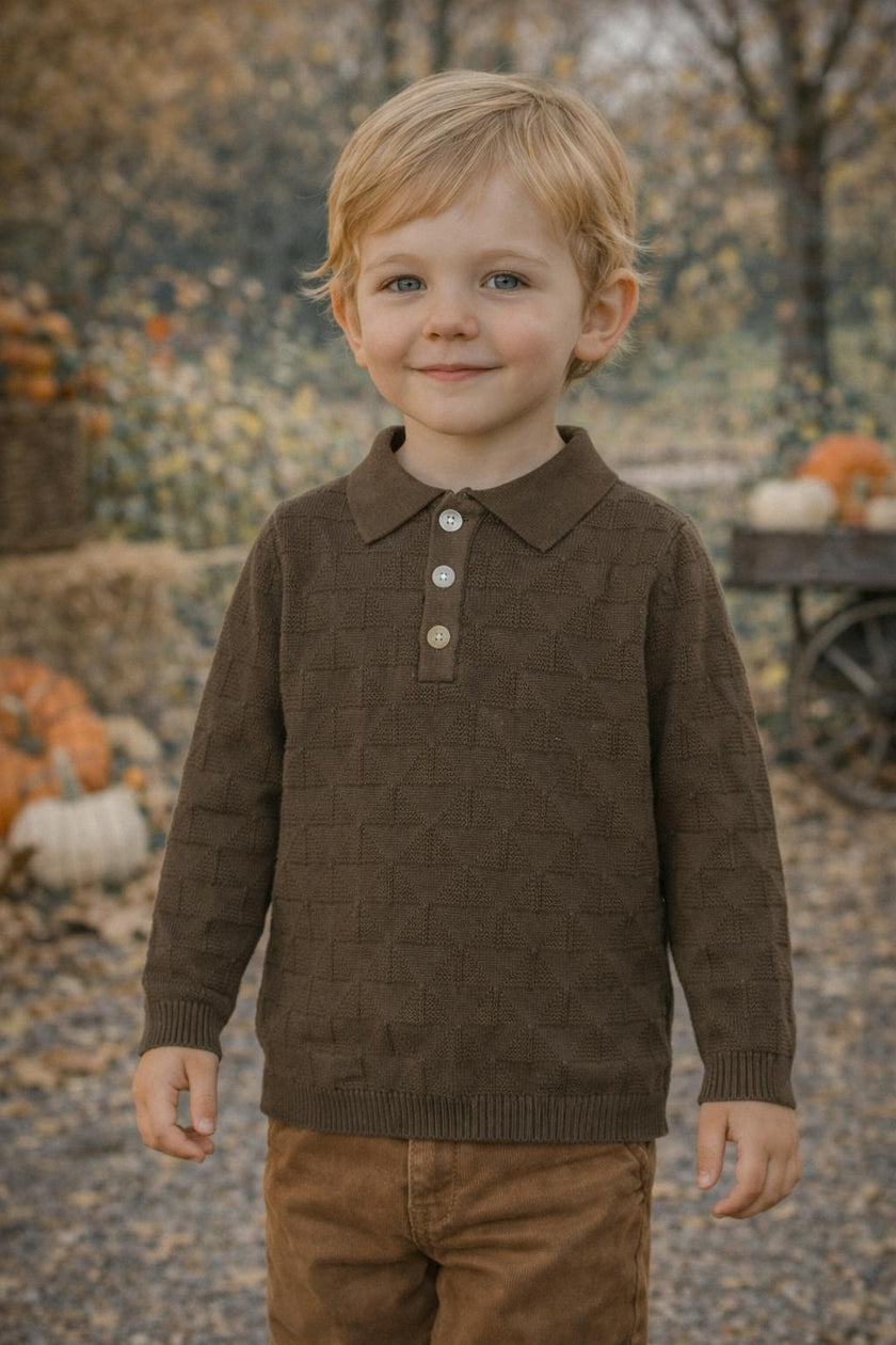 Textured Triangle Classic Collared Relaxed Fit Sweater