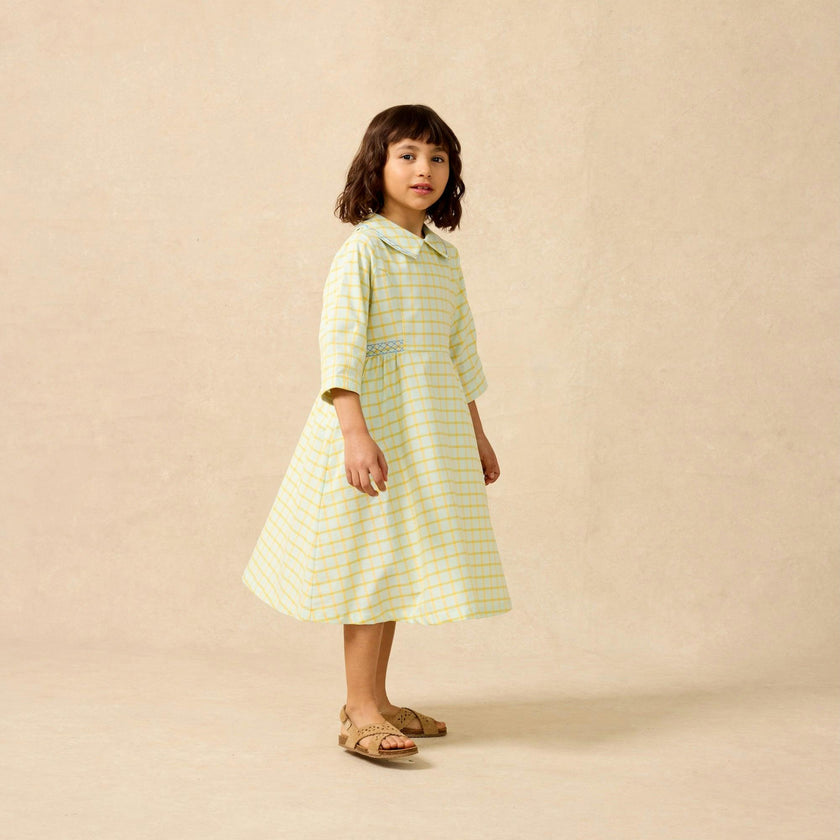Embroidered Dress in Push Pop Plaid