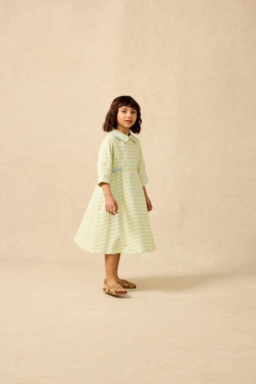 Embroidered Dress in Push Pop Plaid