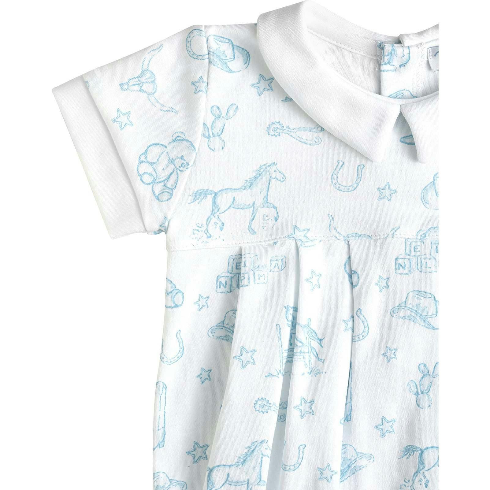 Blue Lone Star Toile Bubble