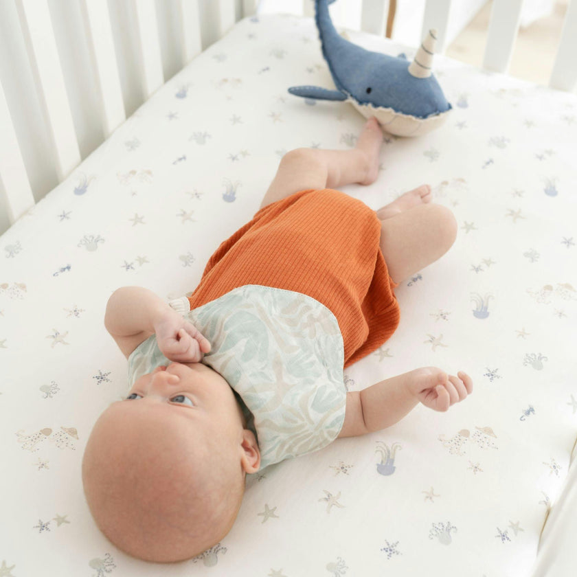 Cove Beach Life Cotton Bandana Baby Bib (3 Pack)