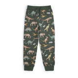Dinosaurs Rock Jogger