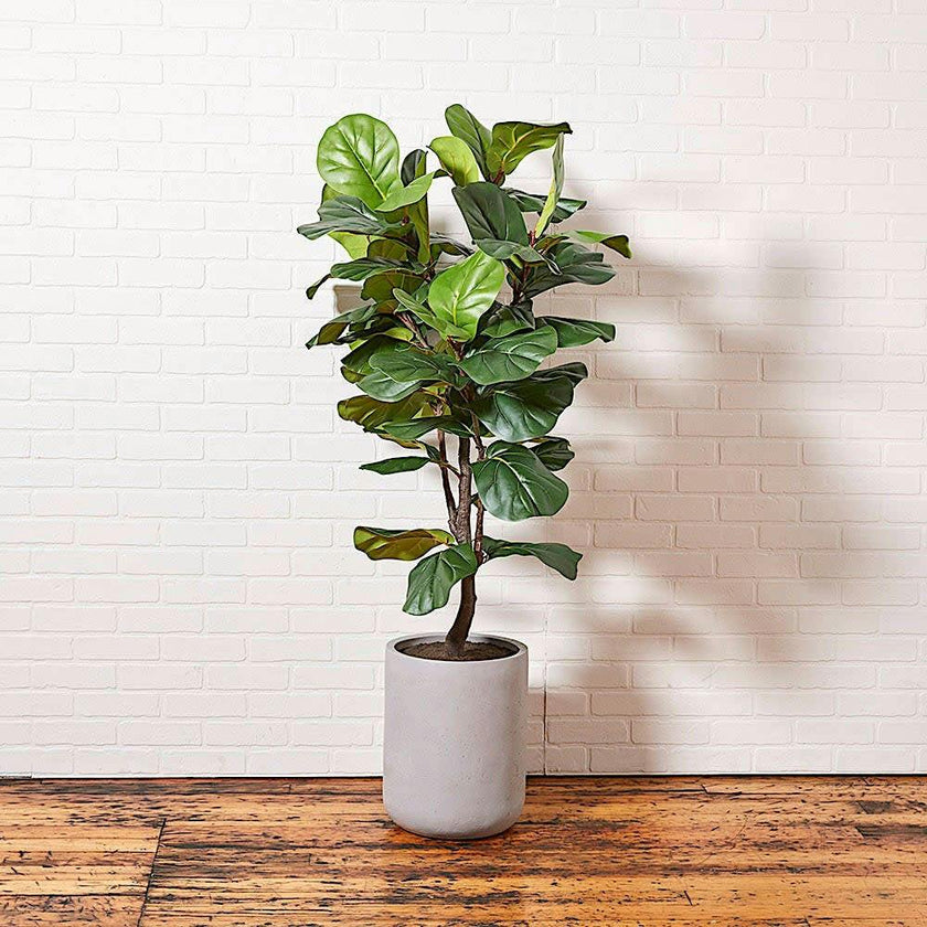 Artificial Fiddle Leaf Fig Tree with Artisan Planter