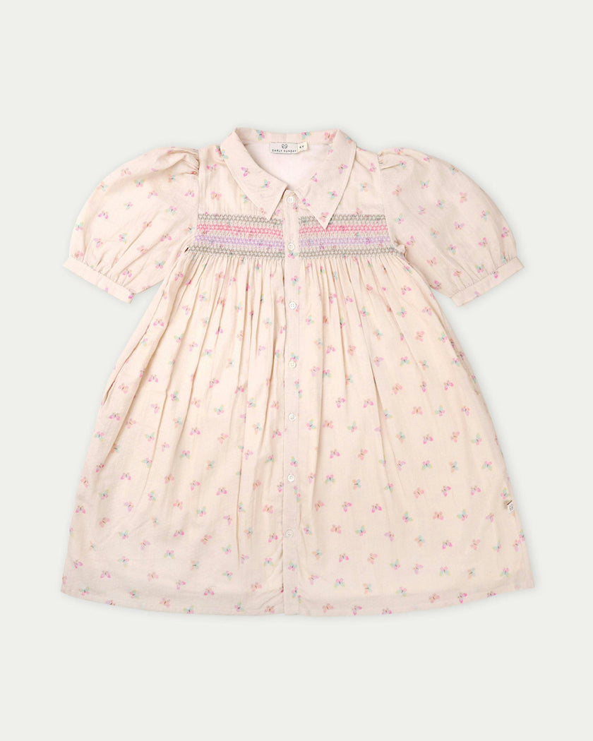 Jane Dress - Butterflies print
