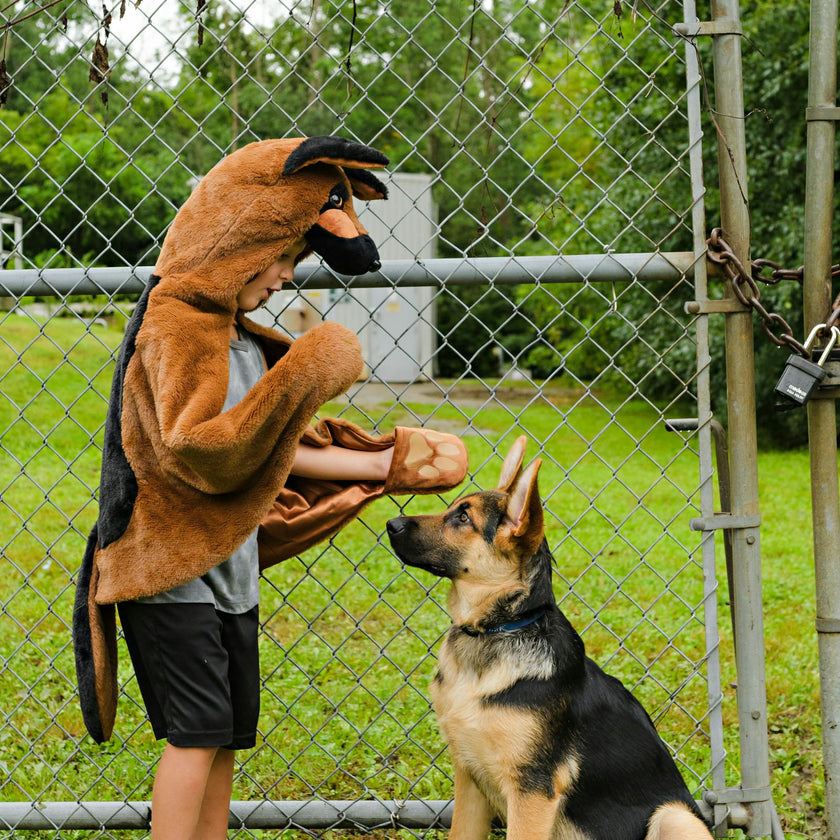 German Shepherd Dog Cuddle Cape