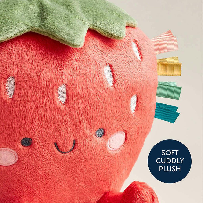 Sweetie Snuggle Bonnie the Strawberry