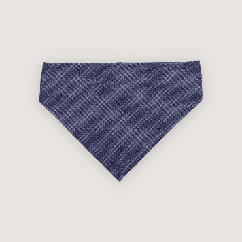 Estela Woman Neck Scarf Check_Sampling