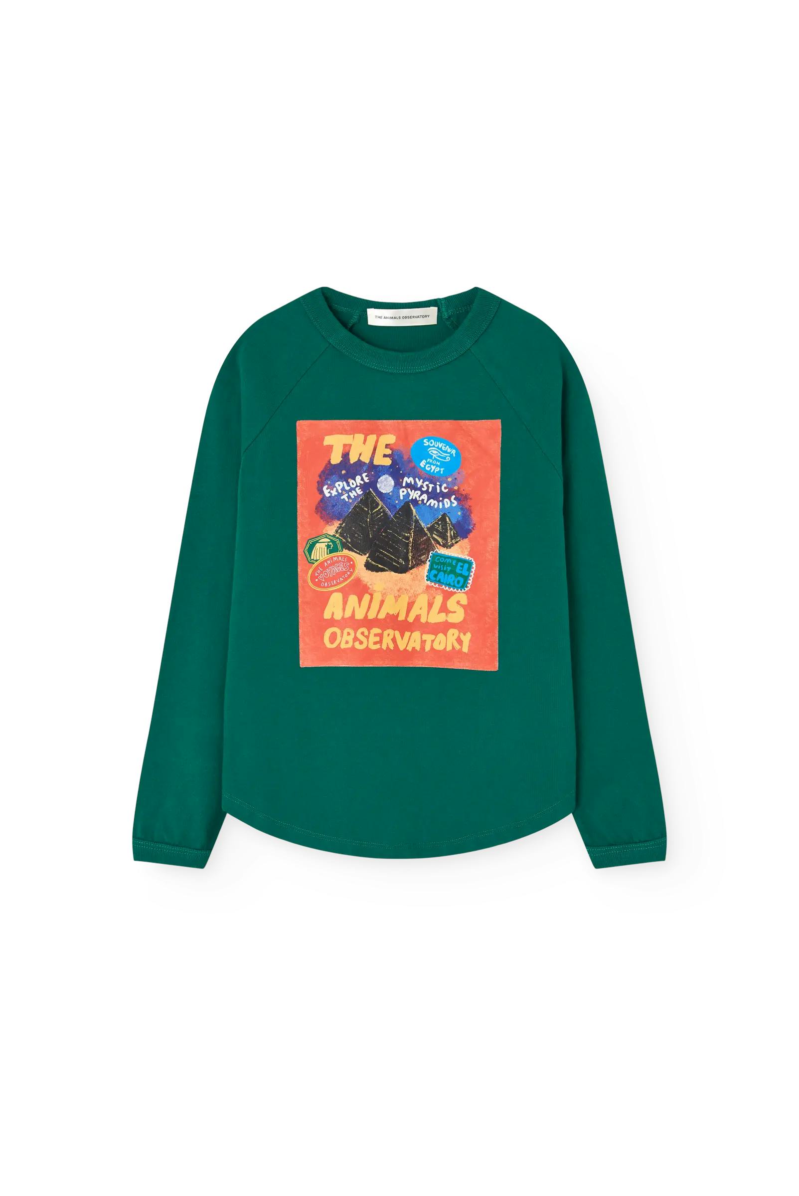 Dark Green Anteater Long Sleeve T-shirt
