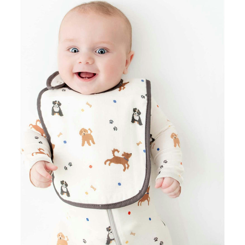 Bib Set