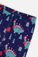 Organic Cotton Two Piece Pajama Set Blue Dinosaur Print