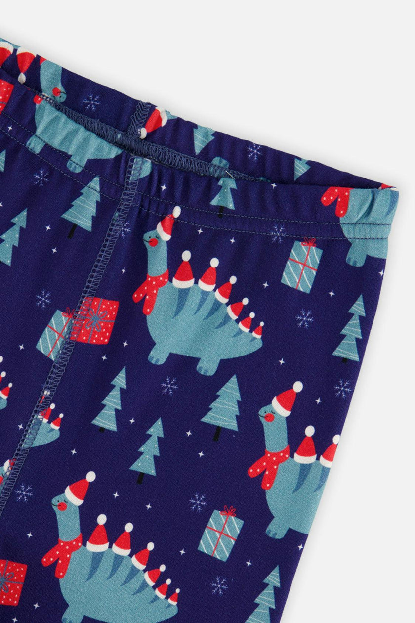 Organic Cotton Two Piece Pajama Set Blue Dinosaur Print