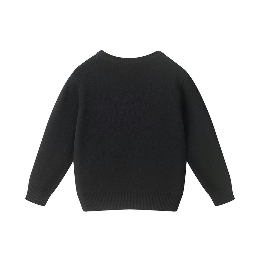 Graphic Sweater | Dinosaur Trio