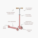 Eco scooter - Raspberry