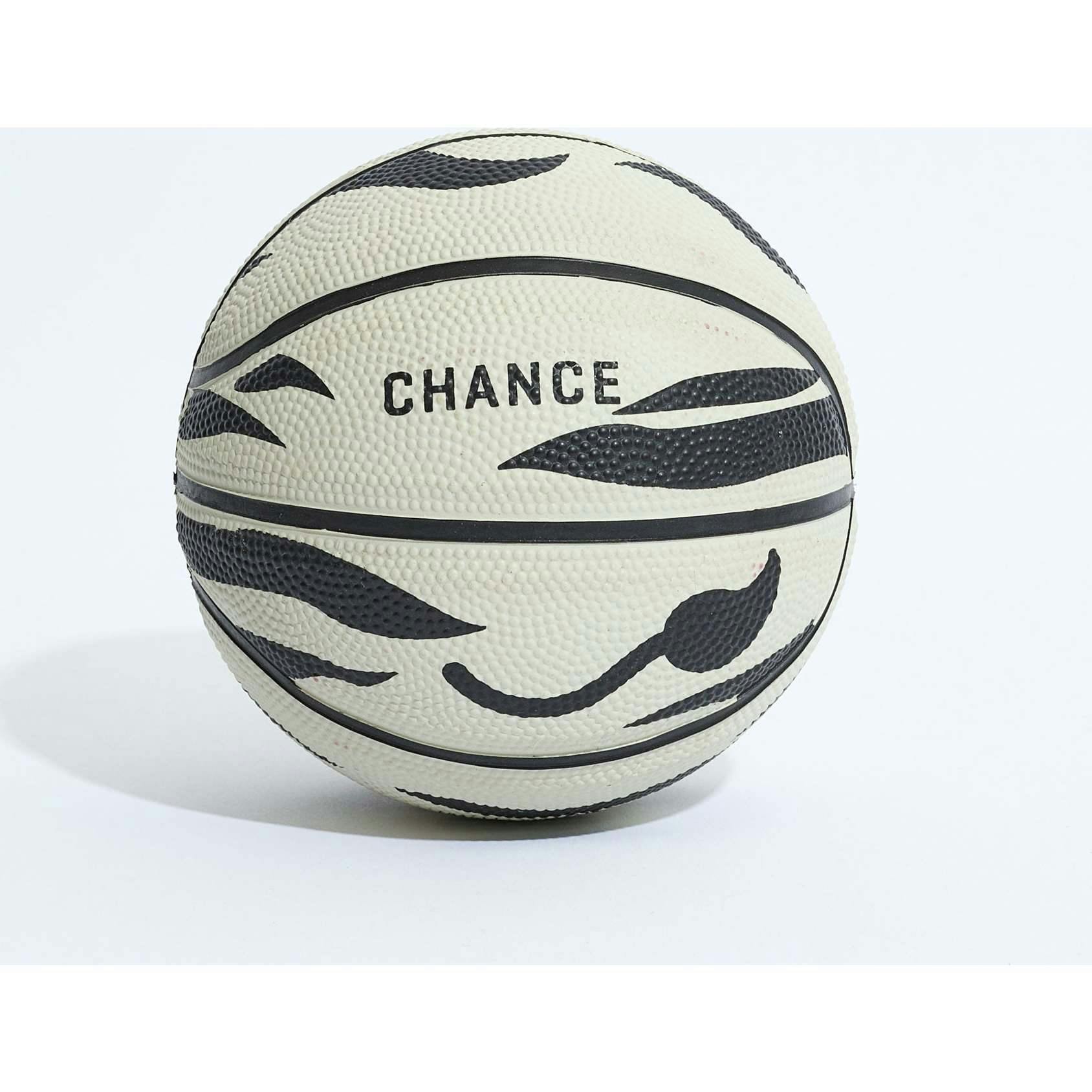 Zoe Mini Basketball (17