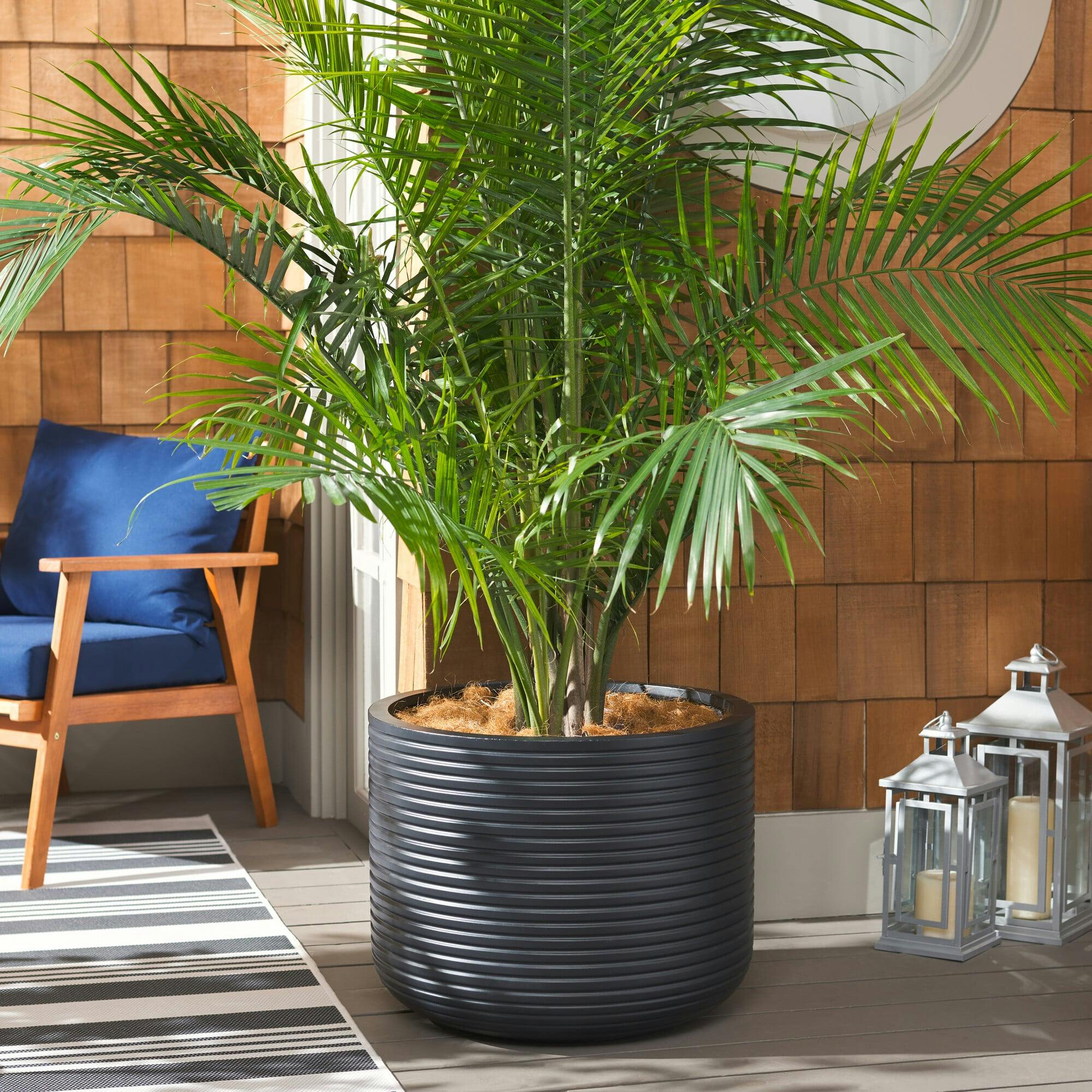 Nardo Large Planter Pot