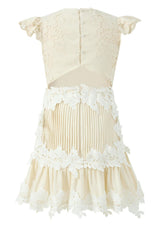 Kaitlyn Embroidered Mini Dress