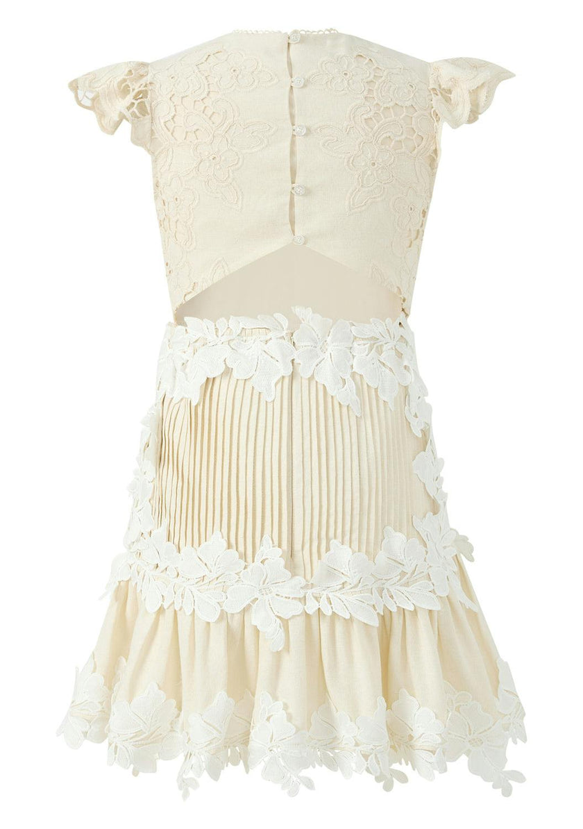 Kaitlyn Embroidered Mini Dress