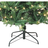 6-Foot Pre-Lit Clear Incandescent Jackson Pine Tree