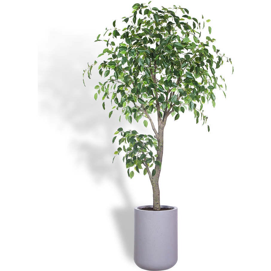 Artificial Ficus Tree with Artisan Planter