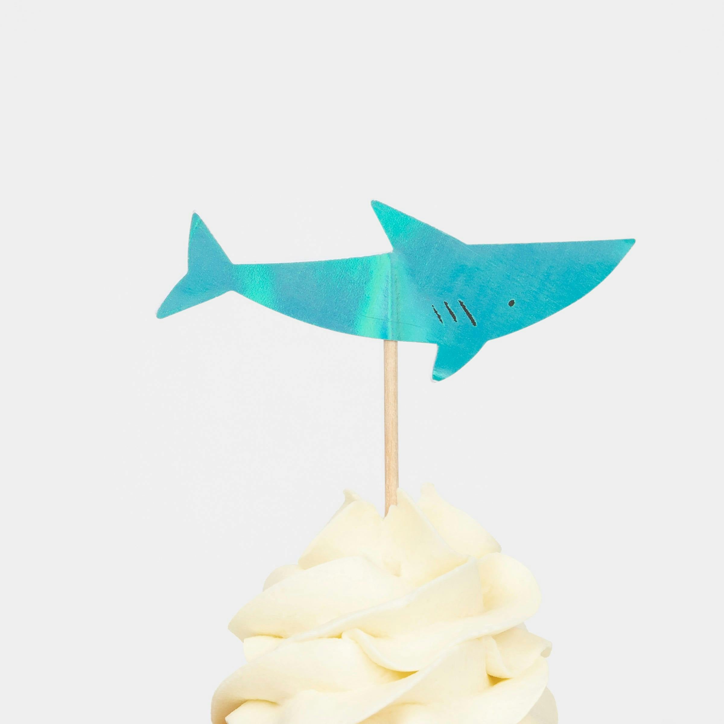 & Cupcake Kit