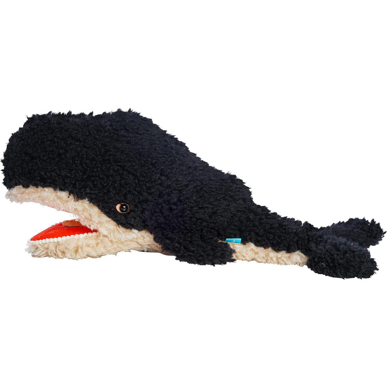 Imaginaries Whale