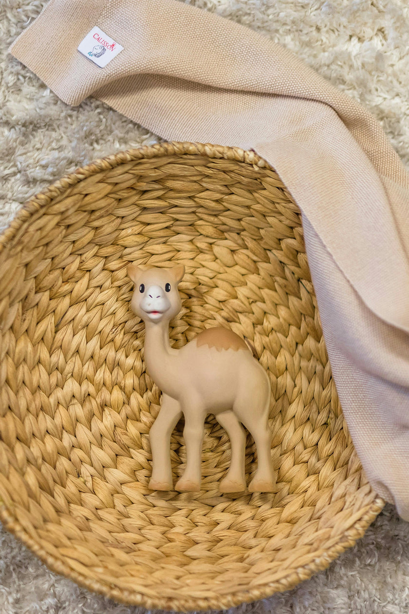 Al'Thir the Camel Teether