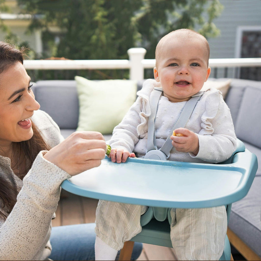 Evrloop 3 in 1 Highchair