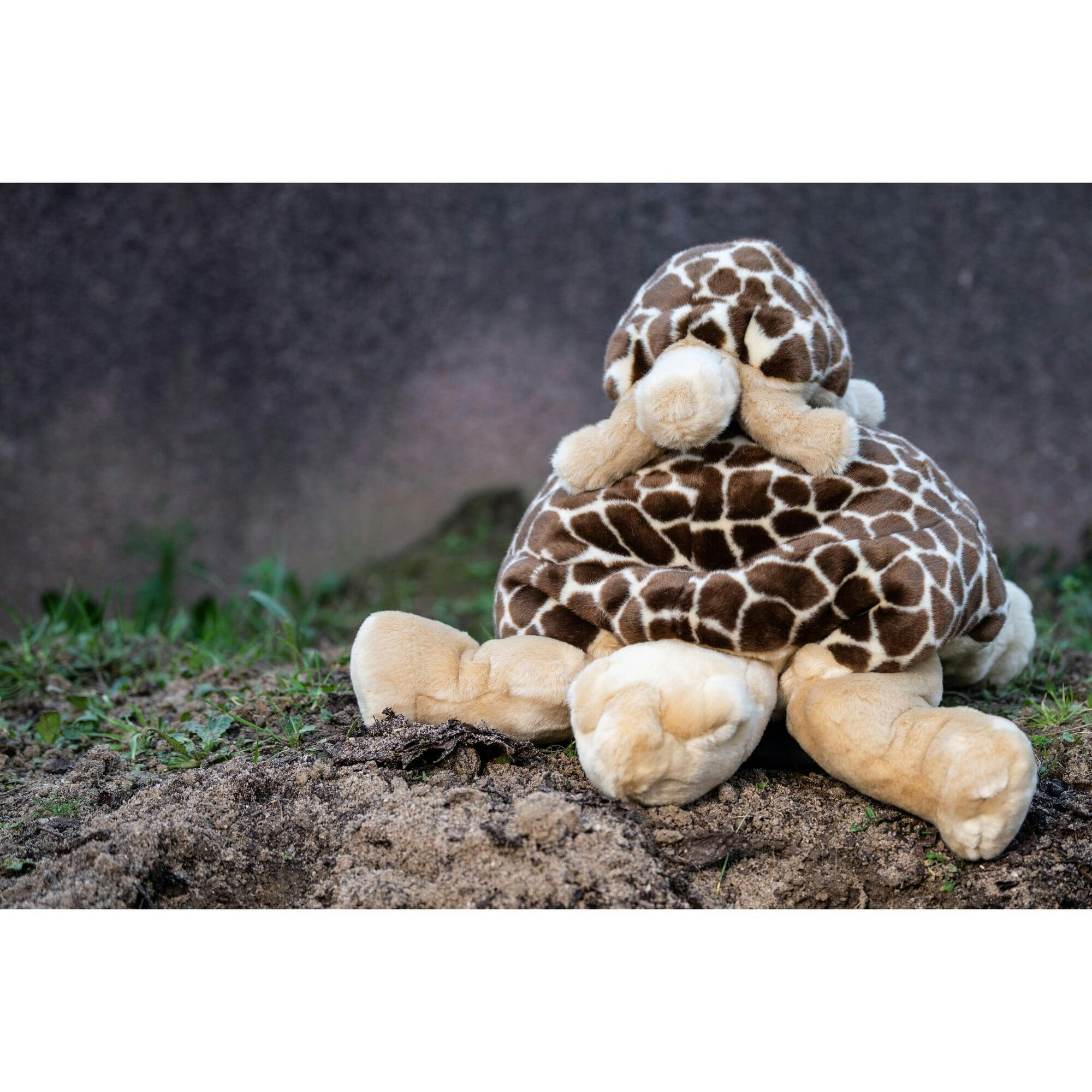 My Tortoise Rosalie - Large 70cm