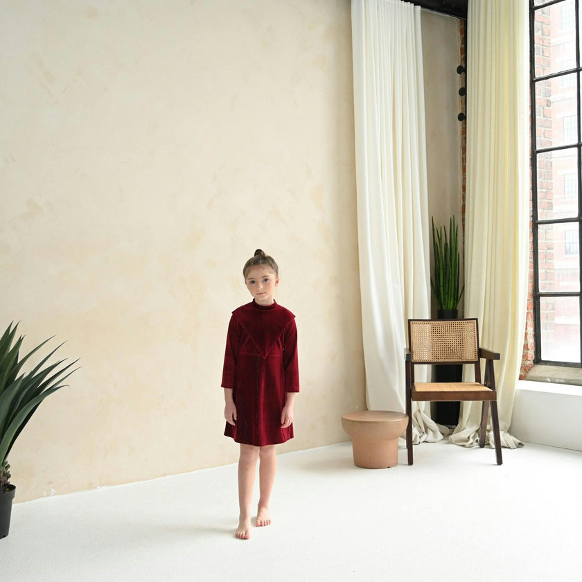 Leila dress (garnet velvet)