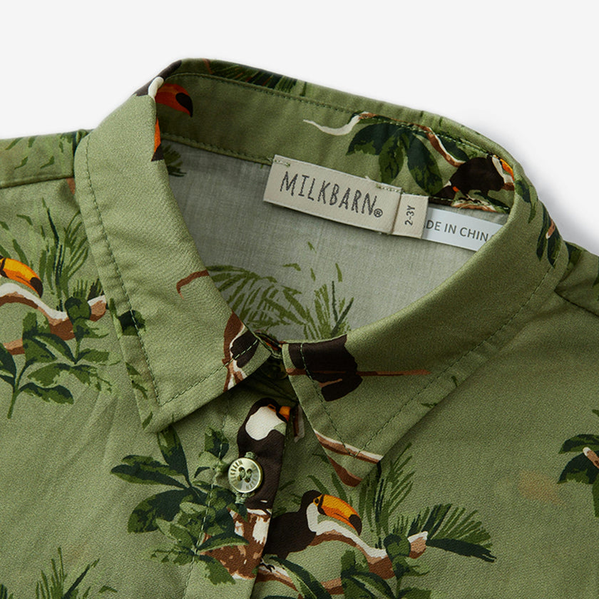 Collar Button-Up Shirt and Shorts Set