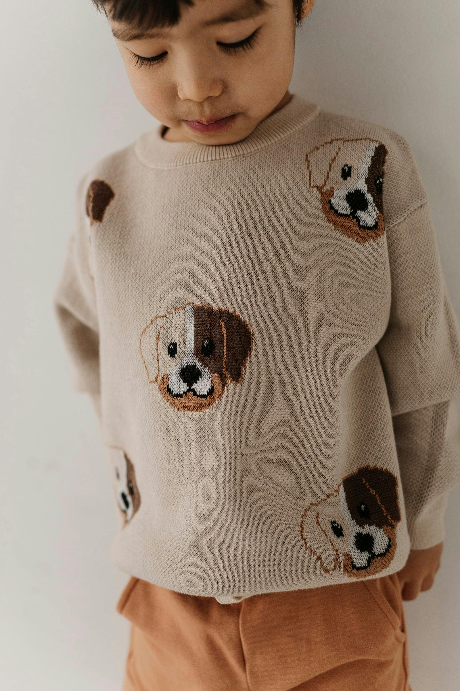 Boys Knit Sweater in Puppies