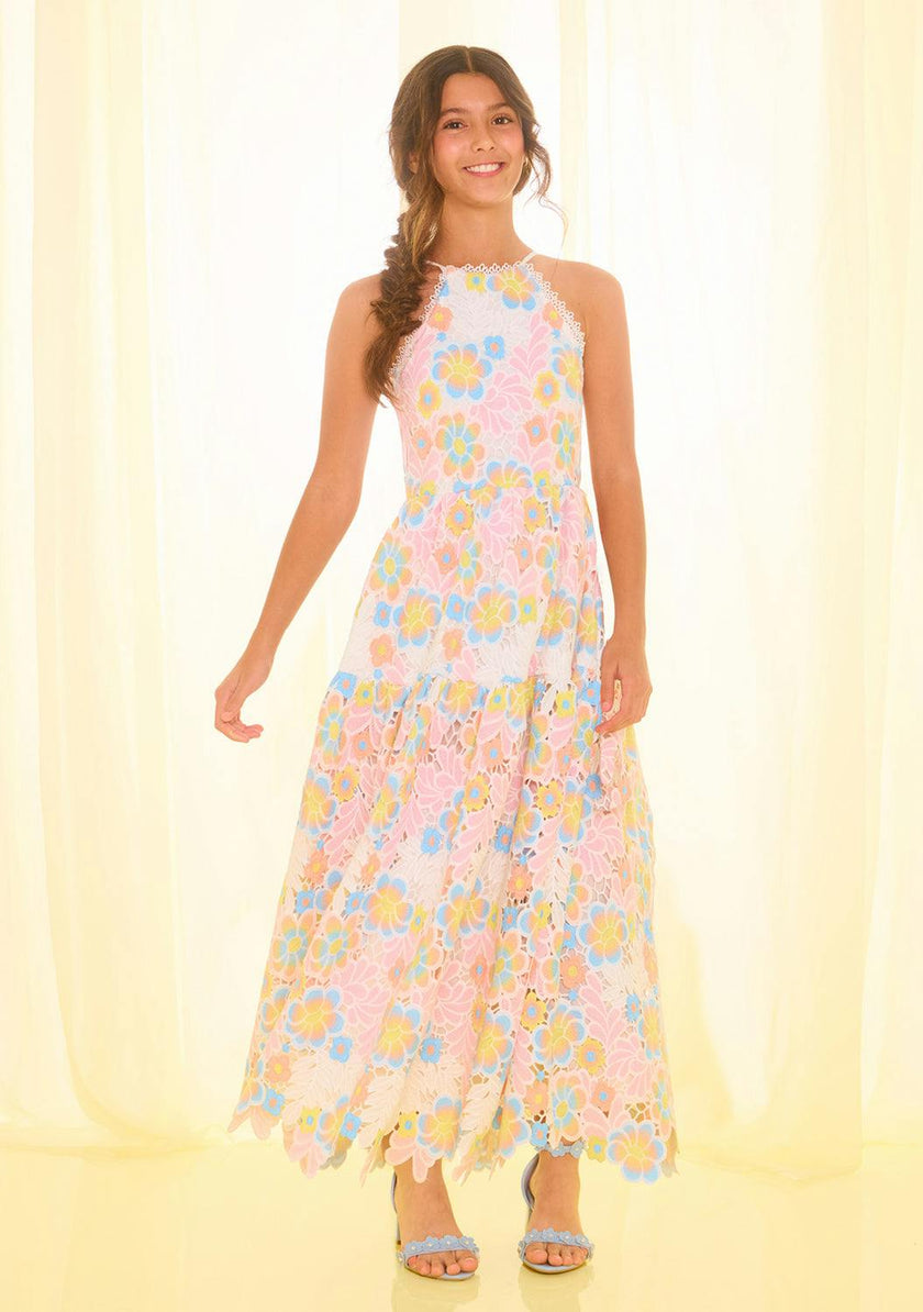 Diana Embroidered Maxi Dress