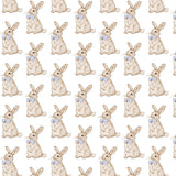 Palmer Boys' Bubble - Easter Bunnies Blue