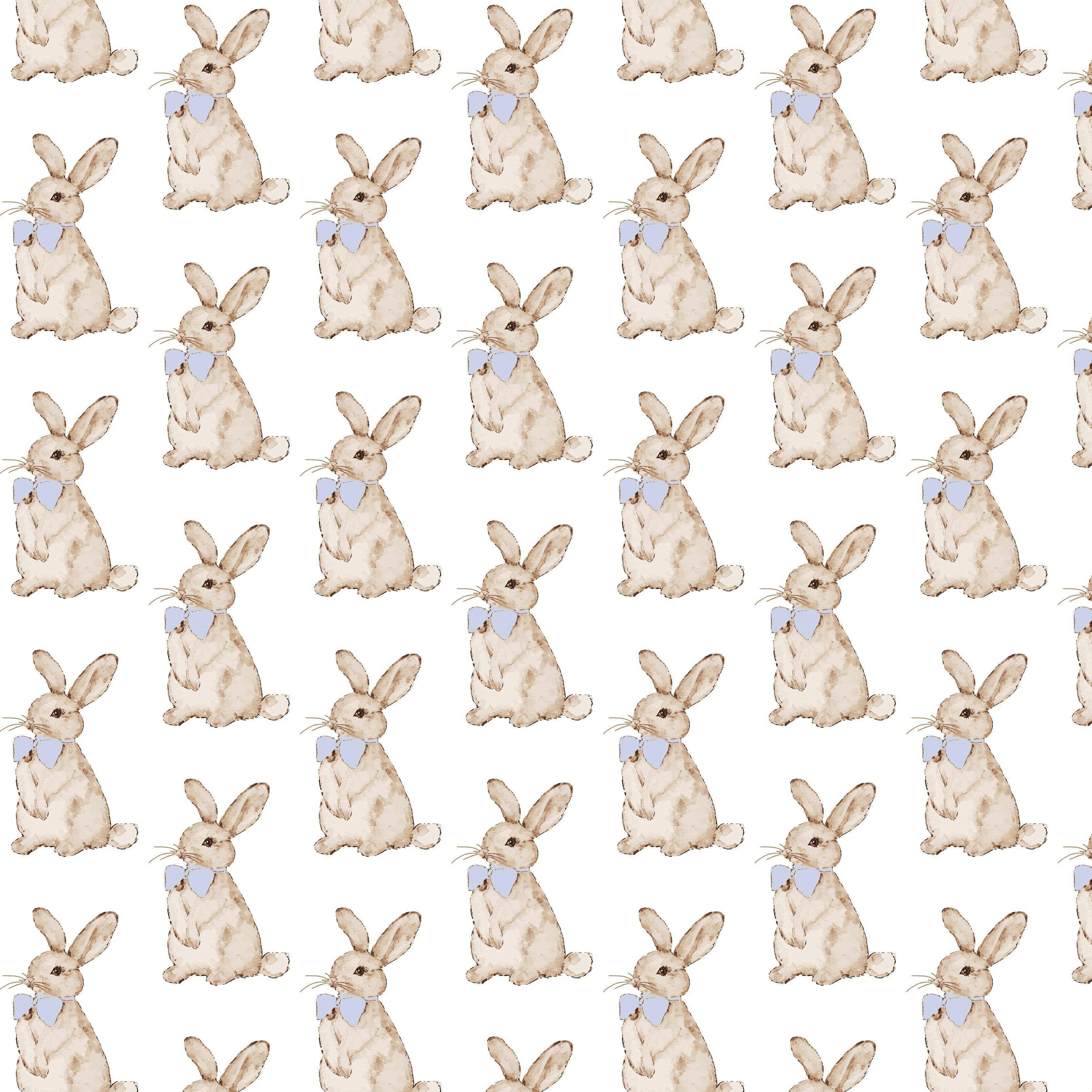 Palmer Boys' Bubble - Easter Bunnies Blue