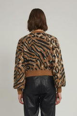 AVIANA CARDI