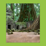 Panorama Sticker Book: Dinosaurs