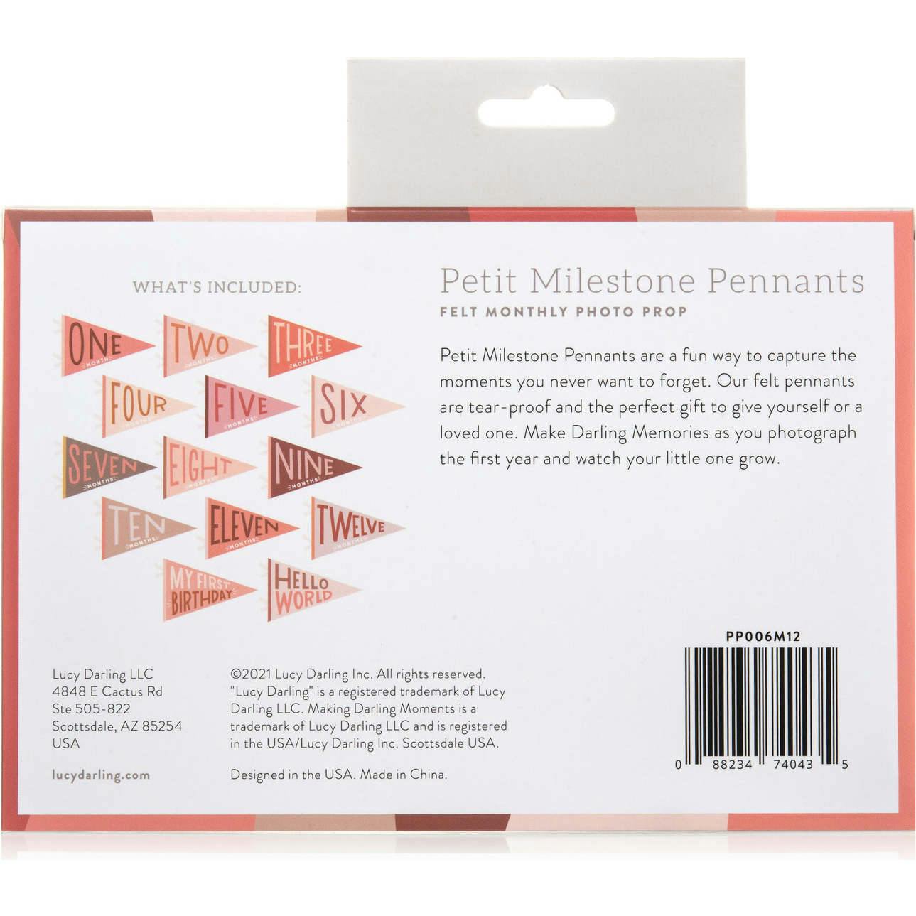Blushing Meadow Petit Milestone Pennant