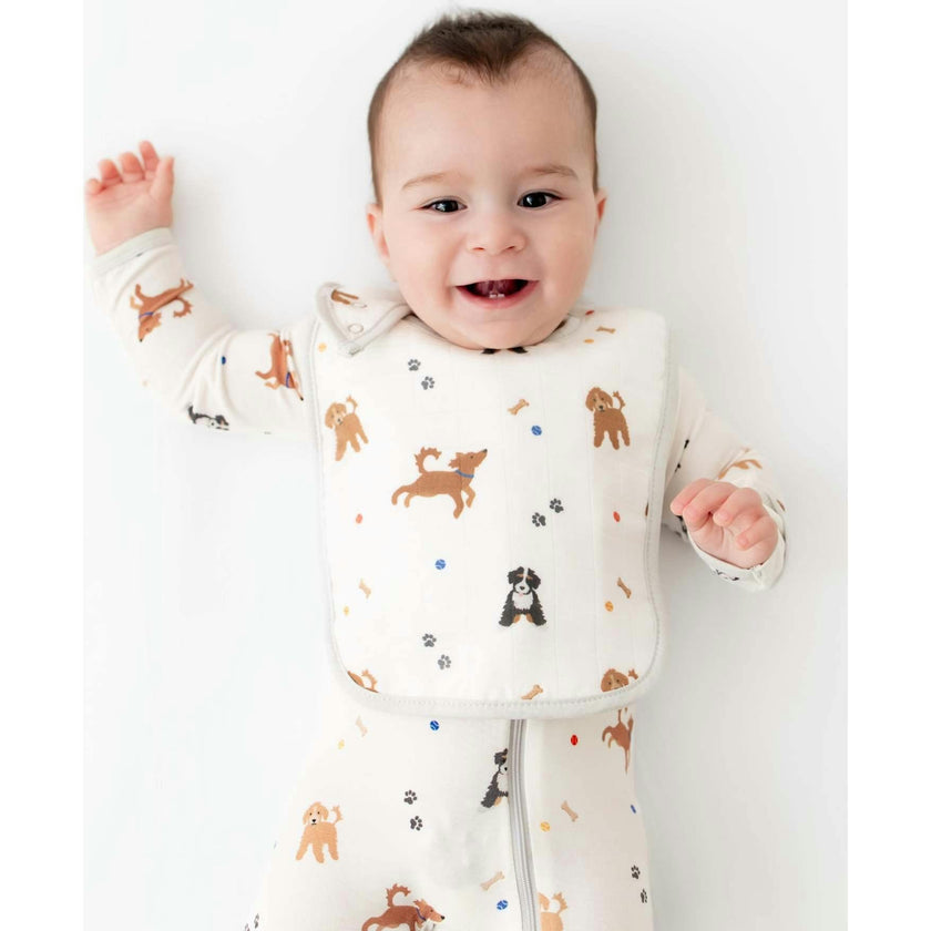 Bib Set