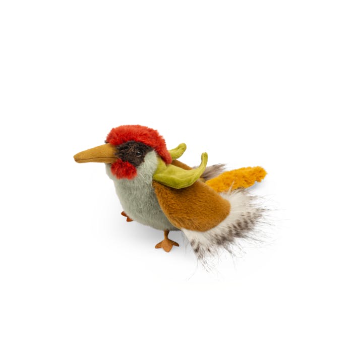 Green Woodpecker - All Around The World