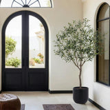 6.5' Faux Potted Olive Tree