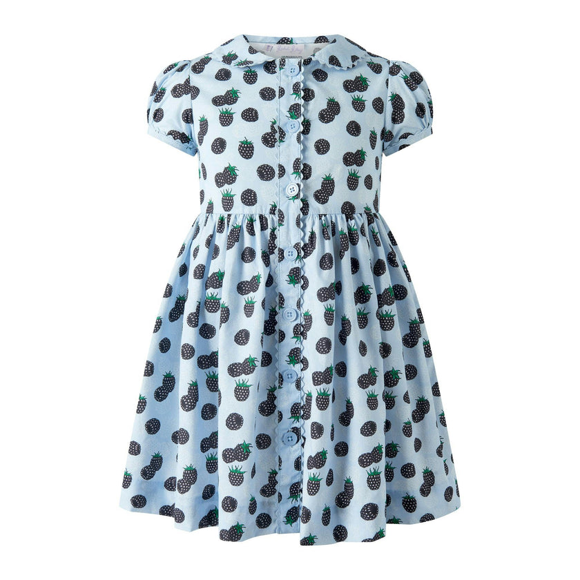 Blackberry Button-Front Dress