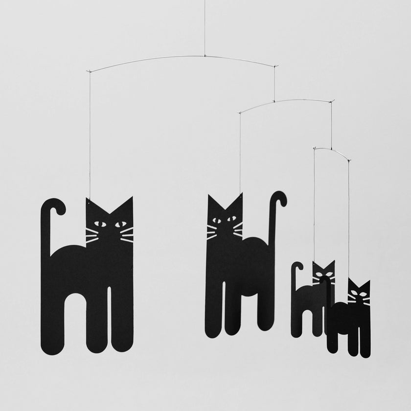 Cats.
