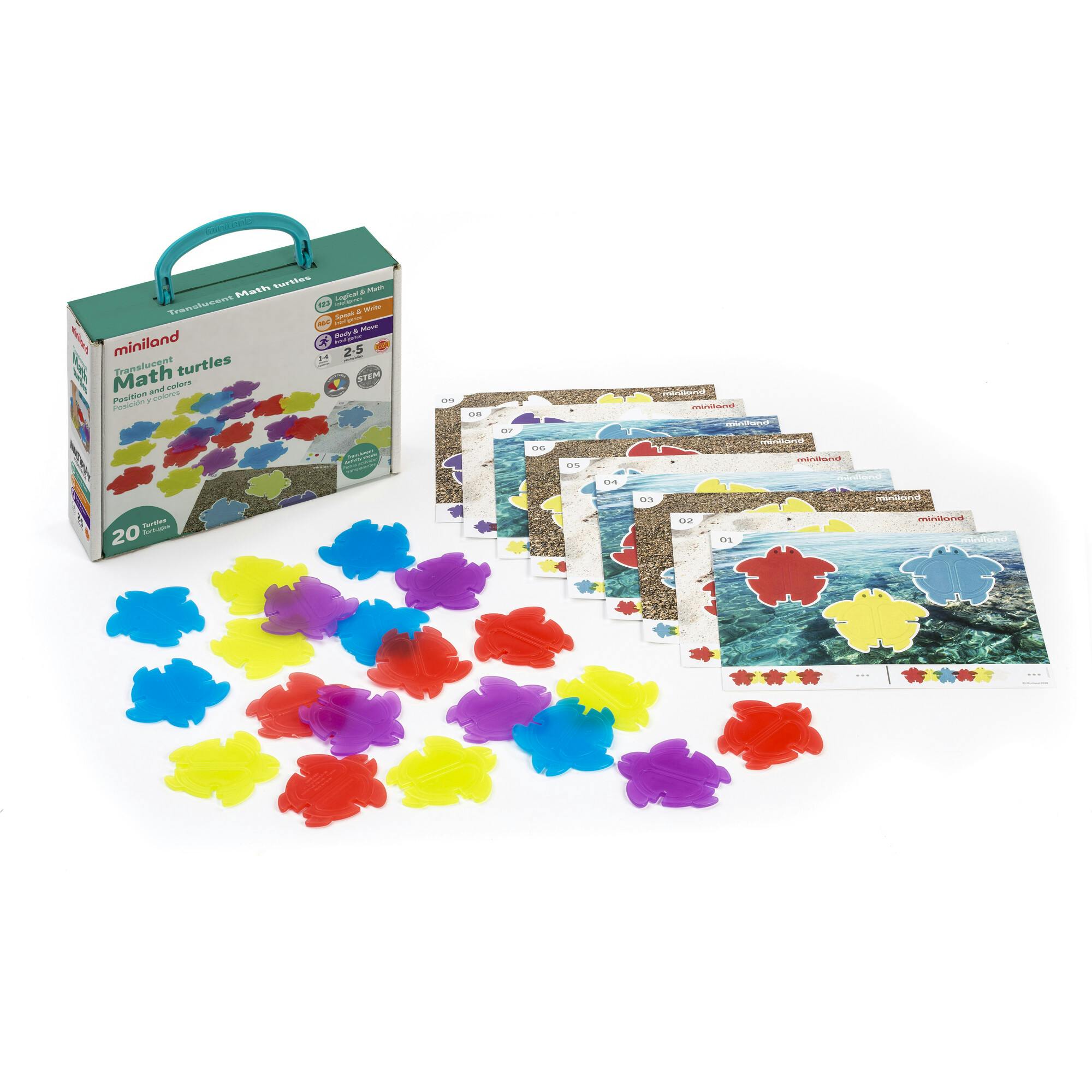 Translucent Math Turtles