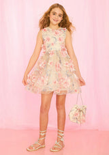 Rosalia Embroidered Mini Dress