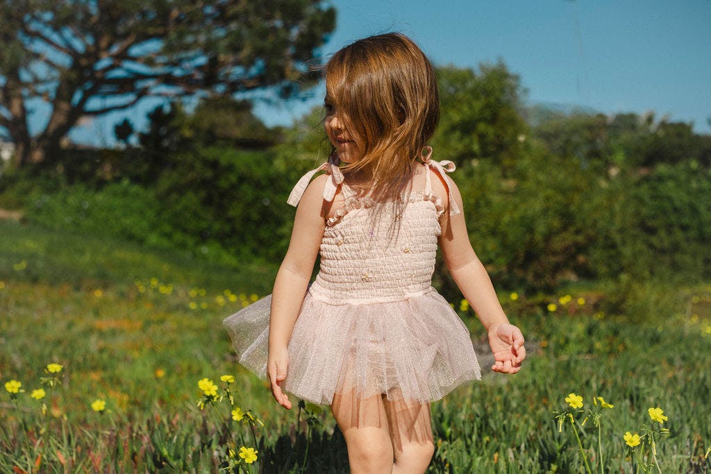 Butterfly Tutu in Pink
